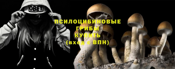 прущая мука Магадан