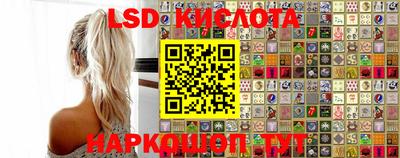 спайс Берёзовский