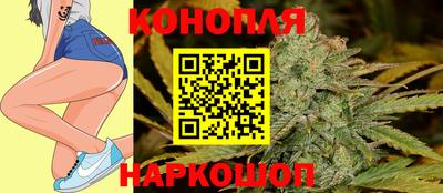 стафф Бийск